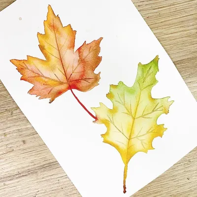 Осень Листья Листва Осенние - Бесплатное фото на Pixabay - Pixabay