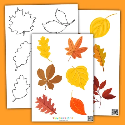 Осенние листья на белом фоне Stock Photo | Adobe Stock