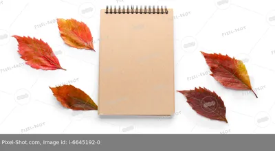 Набор \"Кленовые листья осенние\"(10шт.) красный, картон купить по выгодной  цене в интернет-магазине OZON (1130605927)