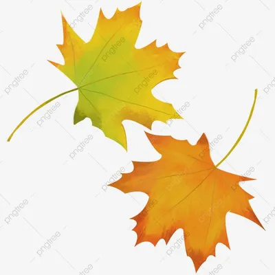 Картинки для торта Осенние листья listya002 печать на сахарной бумаге |  Edible-printing.ru