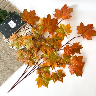Осенние листья для оформления класса и доски распечатать бесплатно