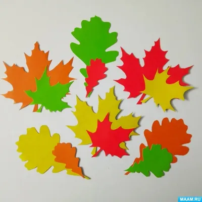 Красивые листочки осенние шаблоны - 56 фото