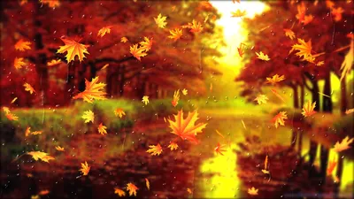 Лист Листопад Осень - Бесплатное фото на Pixabay - Pixabay