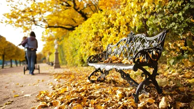 Скачать фотообои для рабочего стола: листья, осень, обои на рабочий стол,  листопад, autumn wallpaper