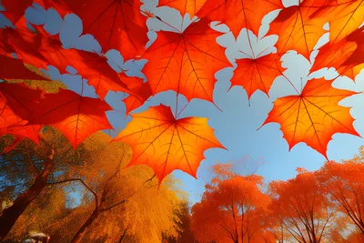 Осенний листопад на фоне голубого …» — создано в Шедевруме