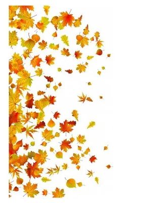 Листопад на выровнянной деревом улице района США пригородной Стоковое Фото  - изображение насчитывающей средства, красно: 102646910