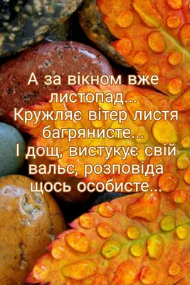 Листопад... | Food, Sweet potato, Vegetables