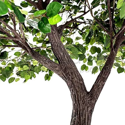 Вырубка лиственных и хвойных деревьев в FS22 | STMods