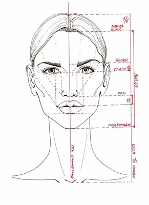 Рисовать лицо — проще простого! | Рисовать, Схема лица, Схемы лица