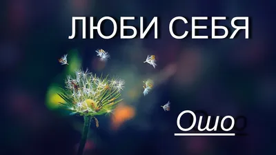 Люби себя. Словно от этого зависит твоя жизнь - купить книги на  Bookoffka.com