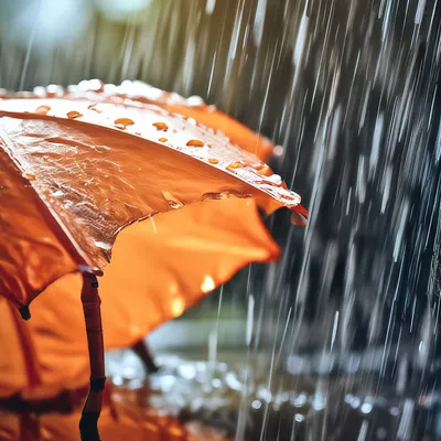 Я Люблю Дождь — стоковые фотографии и другие картинки Ветер - Ветер, Дождь,  Зима - iStock