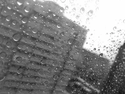 Зачем грустить и ждать солнца, если можно радоваться дождю... Я люблю дождь  не меньше чем люблю солнце. Хотя дождливая погода ощущается… | Instagram