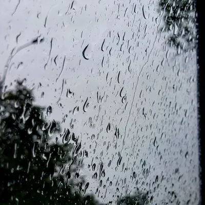 Maria Nefedova on Instagram: \"Люблю дождь за атмосферные фото 💦📸\"