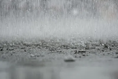 Люблю дождь... | Пикабу