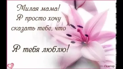 Я люблю тебя, Мамочка! (I Love You Mum) (2108976) - Купить по цене от 66.00  руб. | Интернет магазин SIMA-LAND.RU