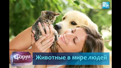 Фотографии людей и животных, которые похожи на иллюстрации к сказкам