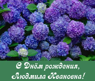 С днем рождения,Людмила!!! Музыкальная видео открытка! - YouTube