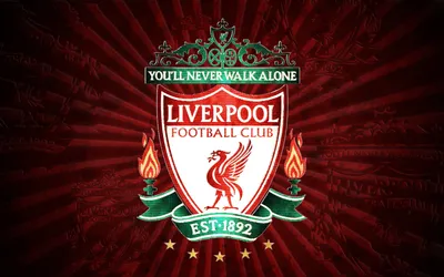 Обложка-чехол на паспорт ФК Ливерпуль (FC Liverpool) купить по цене 350 ₽ в  интернет-магазине KazanExpress