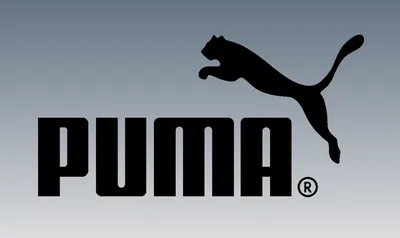 Puma logo design Royalty Free Vector Image - VectorStock