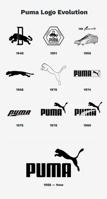 Download Puma Logo Png HQ PNG Image | FreePNGImg