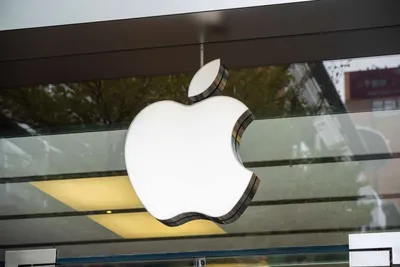 Шаблошаблон Логотип Apple, Логотипы Включая: академия и яблоко - Envato  Elements