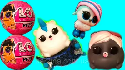 Pets L.O.L. Surprise Series 4 / 2. 100% Оригинал Питомцы 4 сезон 2 волна  Шпионы (Декодер) Оригинал MGA (ID#807707486), цена: 780 ₴, купить на Prom.ua