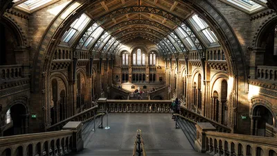 10 лучших музеев Лондона для детей | Афиша Лондон
