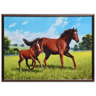 Картина в раме Simaland \"Лошадь с жеребёнком\" 53x73 см по цене 1449 ₽/шт.  купить в Москве в интернет-магазине Леруа Мерлен