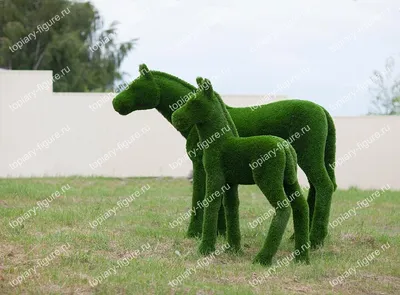 Мокрые серая лошадь с коричневым жеребёнком пасутся во время дождя на  зелёной траве. Stock Photo | Adobe Stock