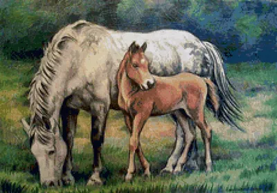Набор лошадь с жеребенком Счастье рядом 148818808 купить за 883 ₽ в  интернет-магазине Wildberries