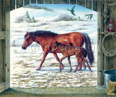 zuek.asd - Якутская лошадь. Жеребенок. . #якутскаялошадь... | Facebook