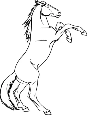 Лошадь на дыбах рисунок карандашом - 51 фото