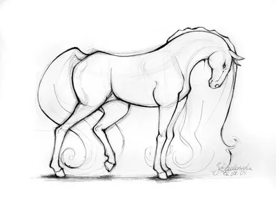 Рисунки коня для срисовки (72 фото)