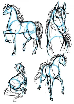 Лошадь рисунок детский самый простой (48 фото) » рисунки для срисовки на  Газ-квас.ком