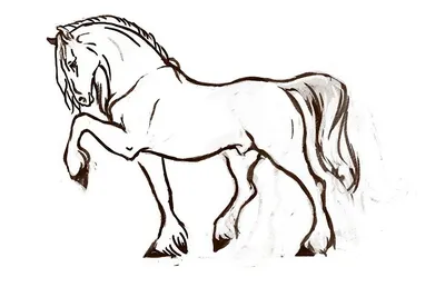 Картинка Коня Для Срисовки Легкие – Telegraph