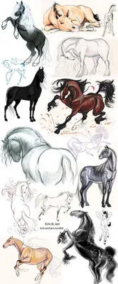 Создать мем \"рисунок лошади карандашом для срисовки, лайны лошадей, аниме\"  - Картинки - Meme-arsenal.com