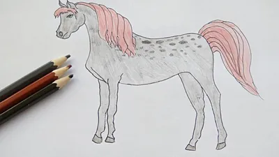 Лошади срисовки легкие пошаговые (800 рисунков) рисунки для начинающих  карандашом простые идеи красивые картинки