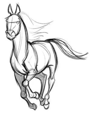 Картинки лошадей для срисовки (26 фото) 🔥 Прикольные картинки и юмор