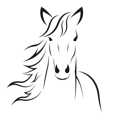 Голова лошади рисунок поэтапно | Эскизы животных, Рисунки животных,  Художественные зарисовки