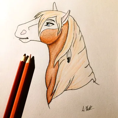 Морда лошади рисунок карандашом для срисовки - 53 фото