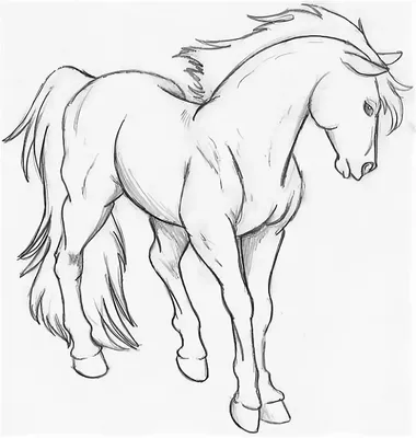 Рисунки лошадей для срисовки карандашом лёгкие и красивые (16 шт)