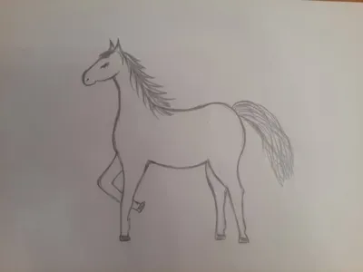 Лошадь рисунок карандашом для детей - 59 фото