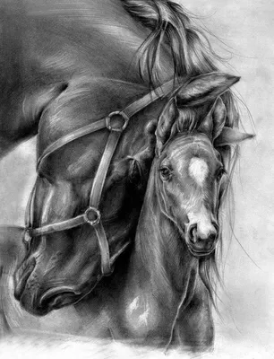 Раскраски кони единороги (38 фото) » Картинки, раскраски и трафареты для  всех - Klev.CLUB
