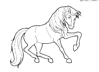Раскраска Лошадь с длинной гривой распечатать или скачать
