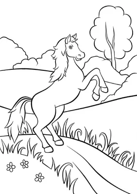 Раскраска Лошадь в хозяйстве помощь — Мир раскрасок