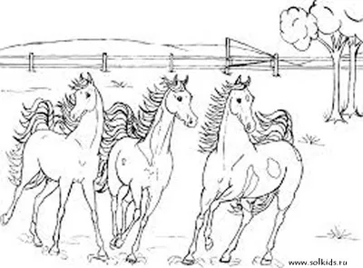 Дизайн Zendoodle лошади для взрослой книжка-раскраски для анти- стресса  Иллюстрация вектора - иллюстрации насчитывающей шарж, чертеж: 78380796