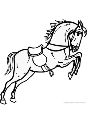 Раскраска Лошадь на пастбище распечатать - Лошади и пони