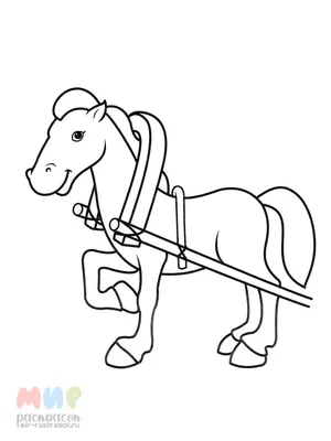 Раскраска Лошадь - Раскраски для детей