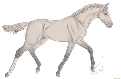 Рисунки карандашом лошади аниме - 60 фото
