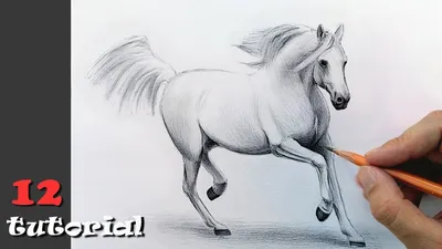 Как нарисовать лошадь, урок для начинающих художников | podelki-iz.ru | Дзен